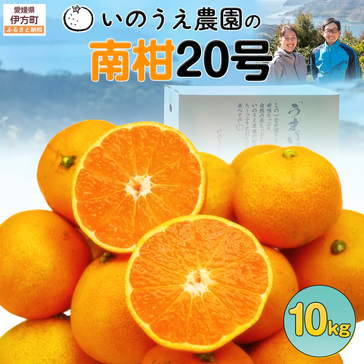 【先行予約】いのうえ農園の南柑20号 10kg ※離島への配送不可（2026年12月上旬より順次発送）IKTAI007