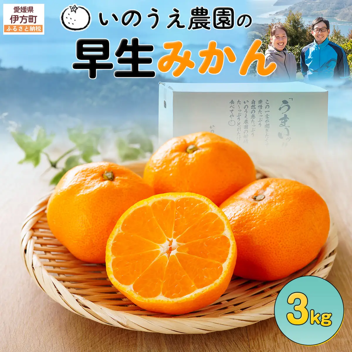 【先行予約】いのうえ農園の早生みかん 3kg ※離島への配送不可（2026年11月中旬より順次発送）IKTAI008