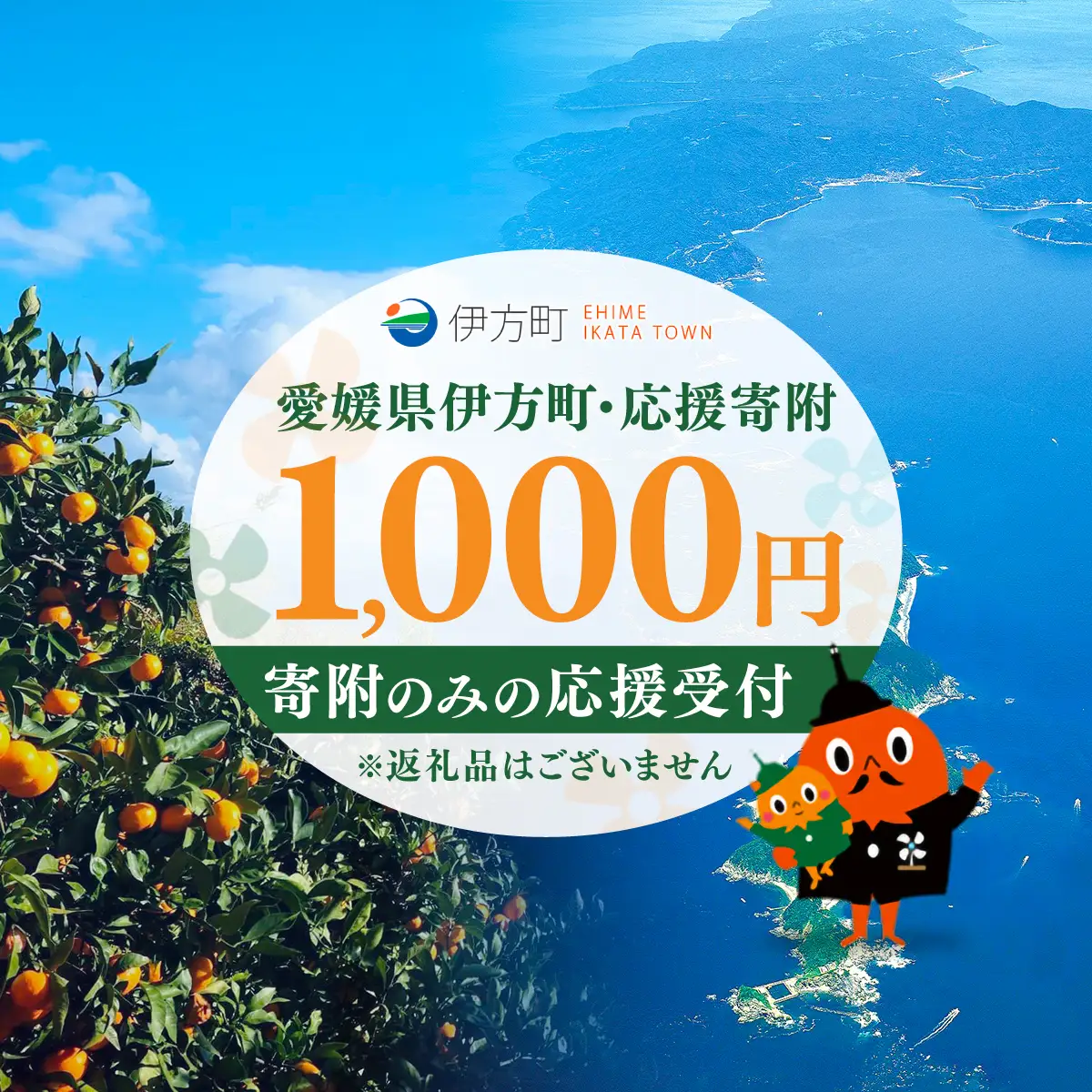 【返礼品なし】愛媛県伊方町・応援寄附1,000円（寄附のみの応援受付 ※返礼品はございません）  【ふるさと納税 人気 おすすめ ランキング 応援寄附 返礼品なし 愛媛県 伊方町 送料無料】 IKTBG001 
