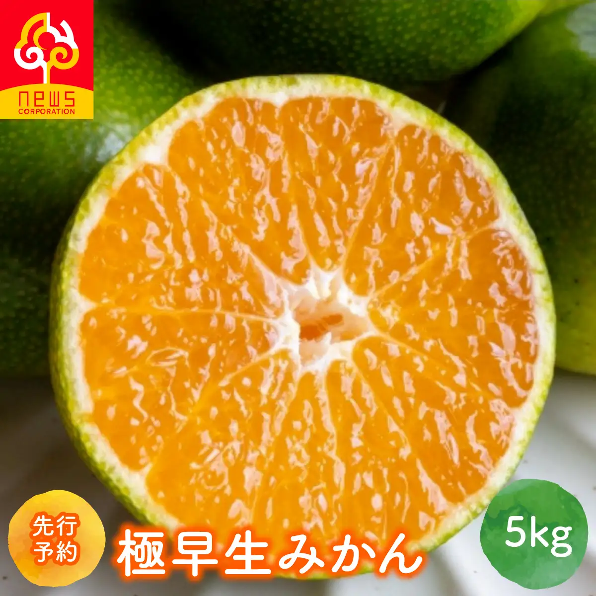 【先行予約】極早生みかん（生果）5kg（2026年9月中旬から発送予定） IKTF001 