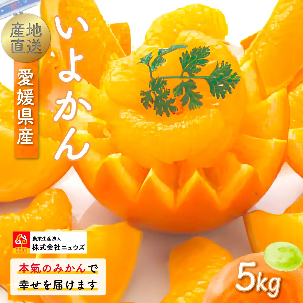 【先行予約】産地直送！愛媛県産いよかん 5kg（2027年1月中旬から発送予定） IKTF004