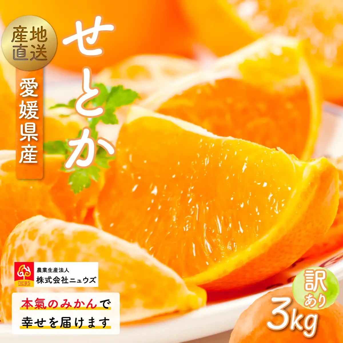 【先行予約】産地直送！愛媛県産せとか（訳あり） 3kg（2027年2月下旬から発送予定） IKTF005
