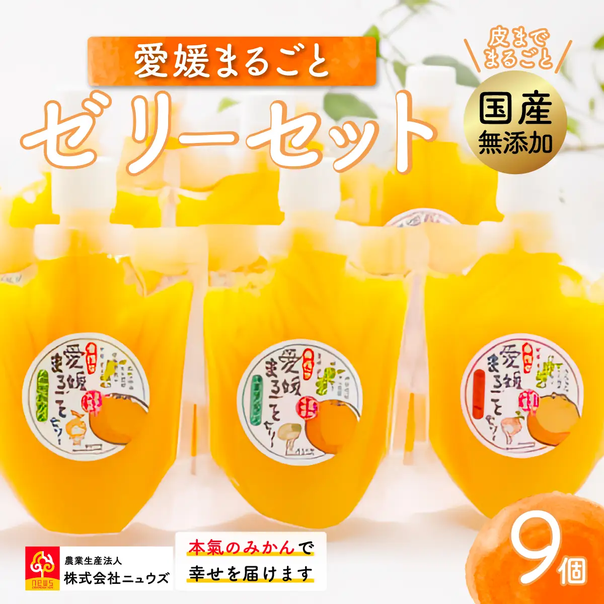 【皮までまるごと国産無添加】愛媛まるごとゼリーセット（9個） IKTF009