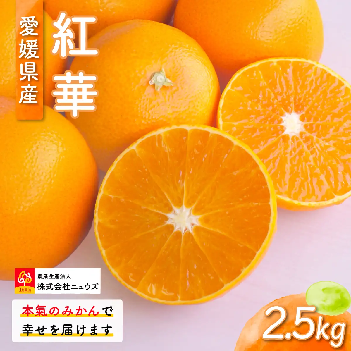 【先行予約】紅華（生果）約2.5kg（2026年12月上旬より順次発送） IKTF014