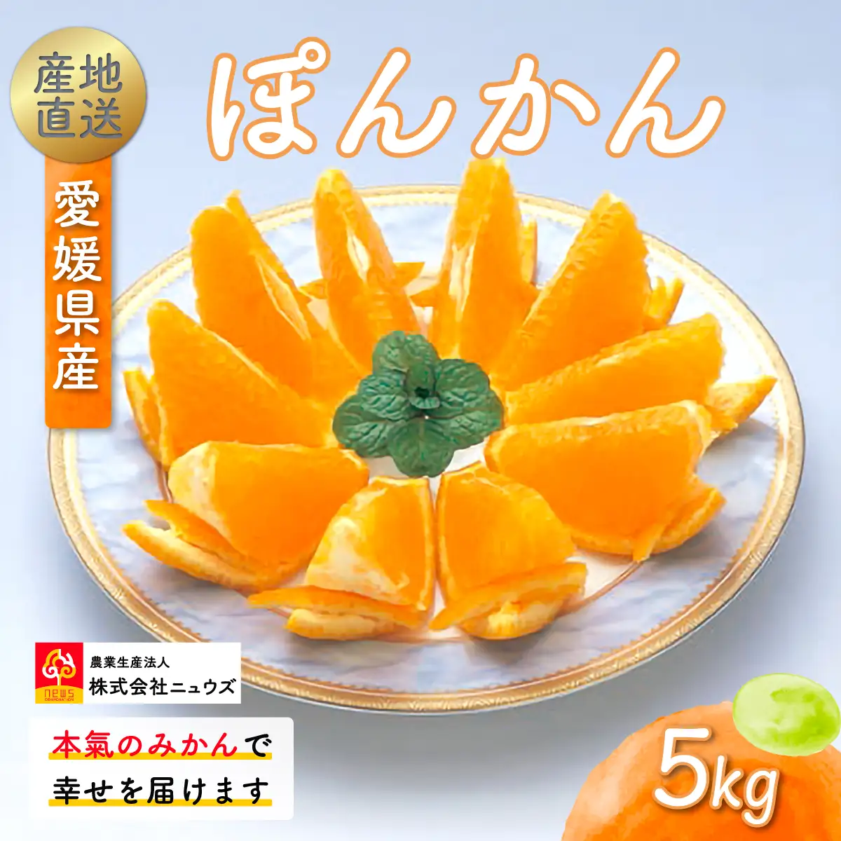 【先行予約】産地直送！愛媛県産ぽんかん 5kg（2027年1月上旬より順次発送） IKTF016