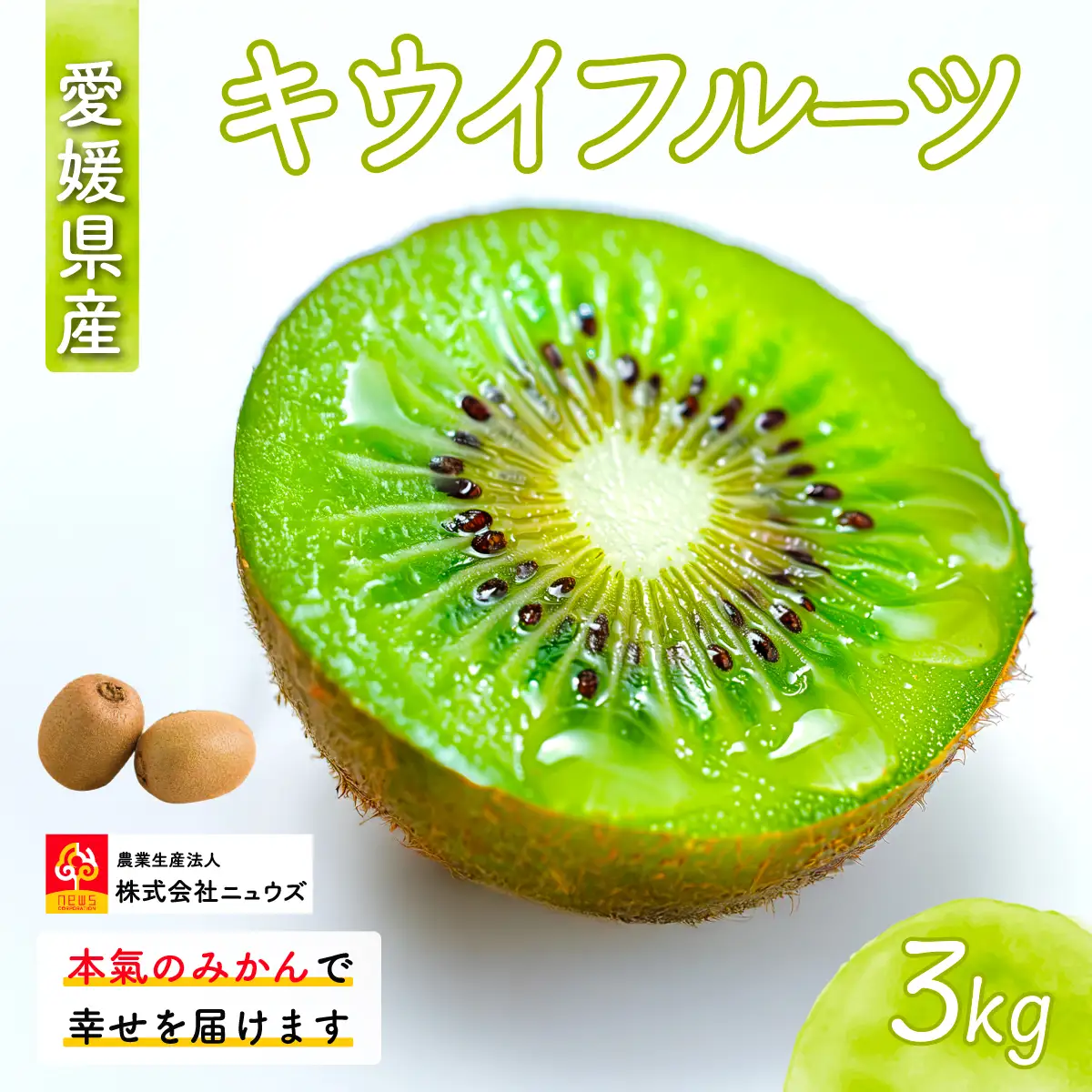 【先行予約】キウイフルーツ（生果）3kg（2026年11月上旬より順次発送） IKTF024