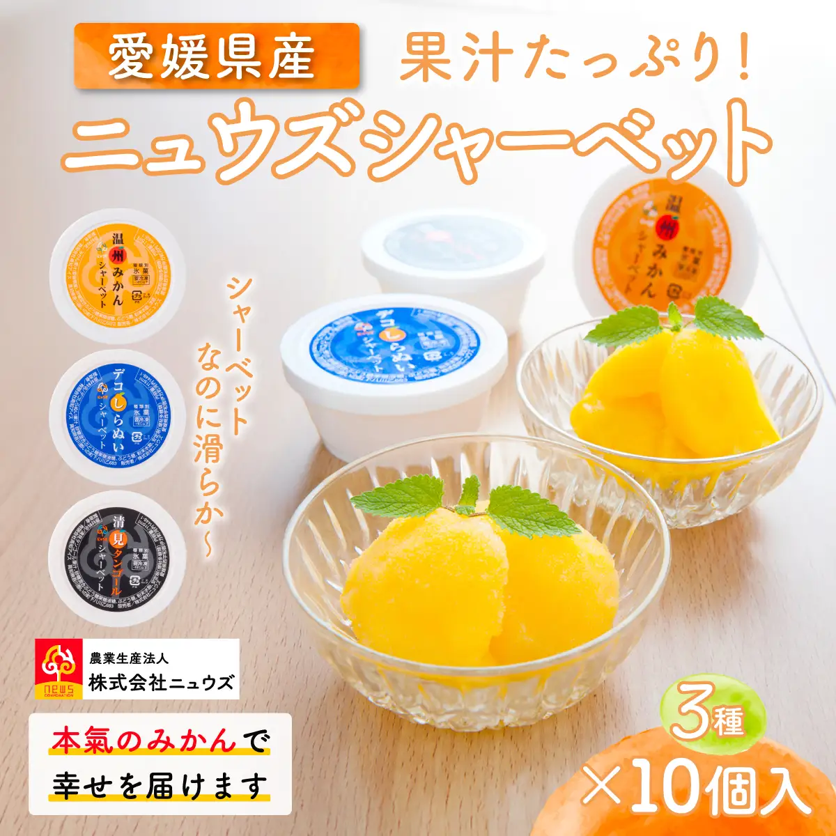 果汁たっぷり！シャーベットなのに滑らかな口当たりニュウズシャーベット3種10個 ※離島への配送不可  IKTF025