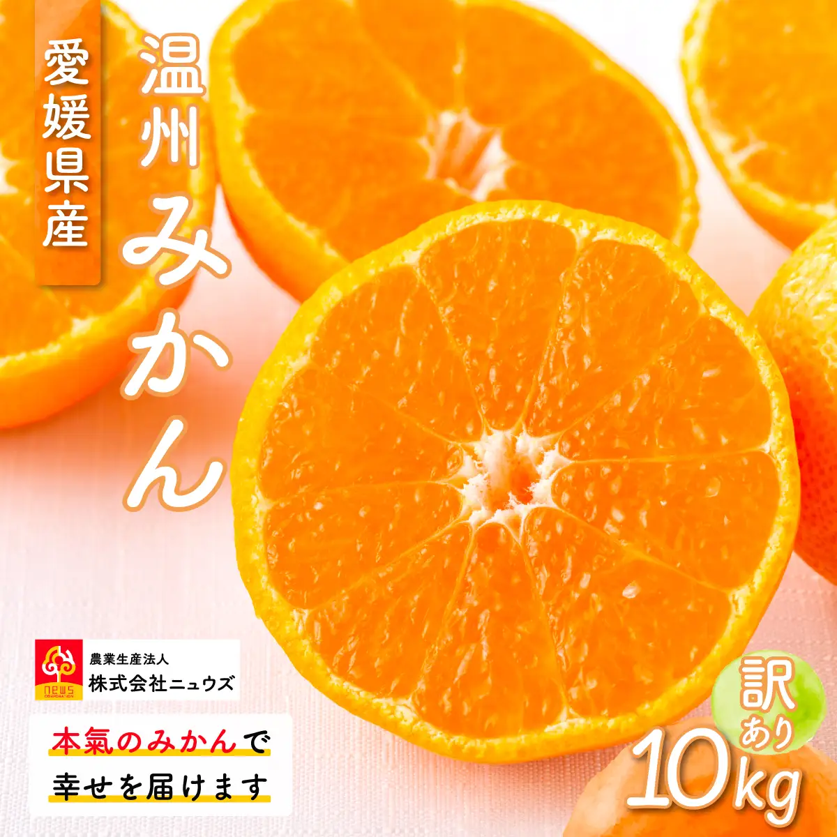 【先行予約】【訳あり】温州みかん 10kg ※離島への配送不可（2026年11月上旬より順次発送） IKTF028