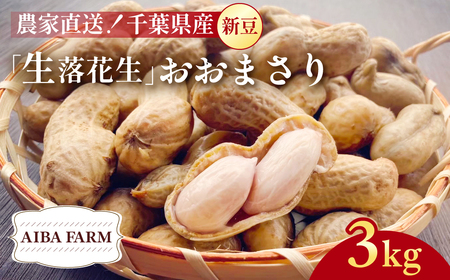 【先行予約・新豆 】【栽培期間中農薬不使用】千葉県産 大粒 農家直送！「生落花生」おおまさり３kg　【 ふるさと納税 人気 おすすめ ランキング 皮付き 殻付き ピーナッツ ピーナツ 落花生 千葉県 富里市 送料無料 】TML010