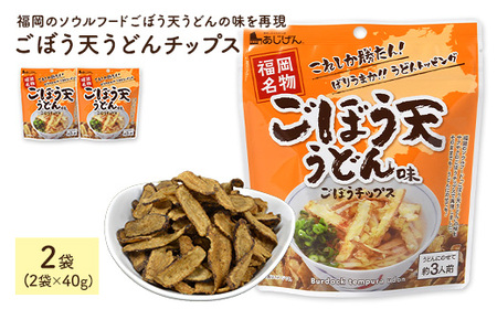 ごぼう天うどんチップス (2袋・1袋40g) 野菜 ゴボウ 牛蒡 おつまみ おやつ お菓子 おかし スナック 常温 【man311】【味源】