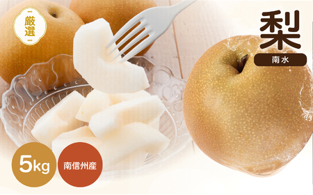 南信州産 梨 南水 約5kg 【2026年9月中旬～発送】