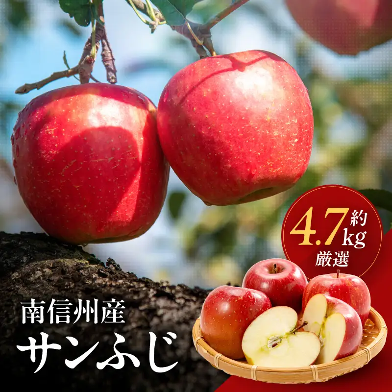 南信州産 サンふじ 約4.7kg【2026年12月上旬～発送】 