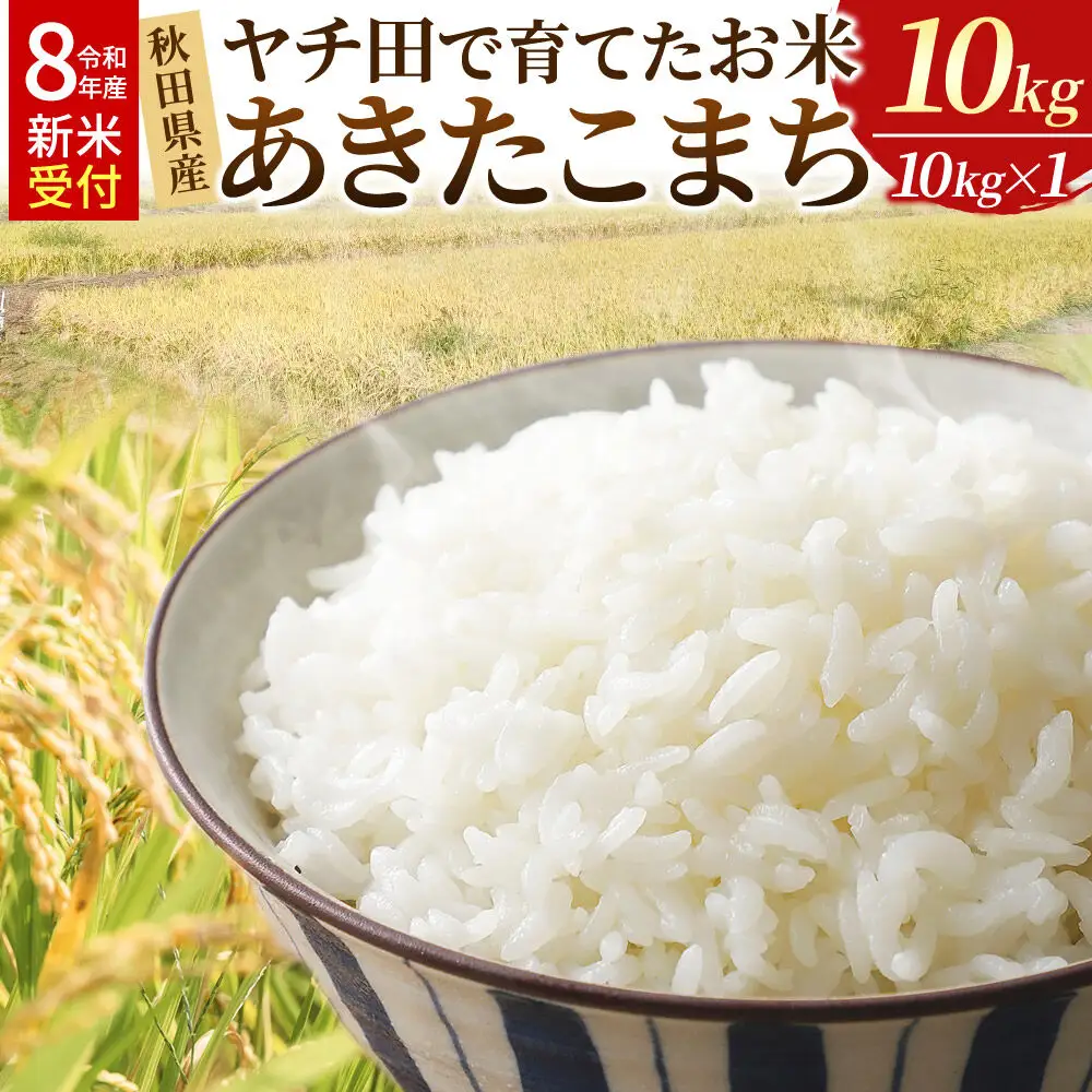＜令和8年産新米予約＞米【白米】秋田県産 あきたこまち ヤチ田で育てたお米 精米 10kg
