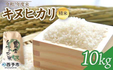  ＜令和7年度 米 キヌヒカリ 精米 10kg＞ 2025年産 きぬひかり お米 コメ こめ 白米 ご飯 ライス りの果樹園 愛媛県 西予市【常温】『2025年10月頃から順次出荷予定』URK0015
