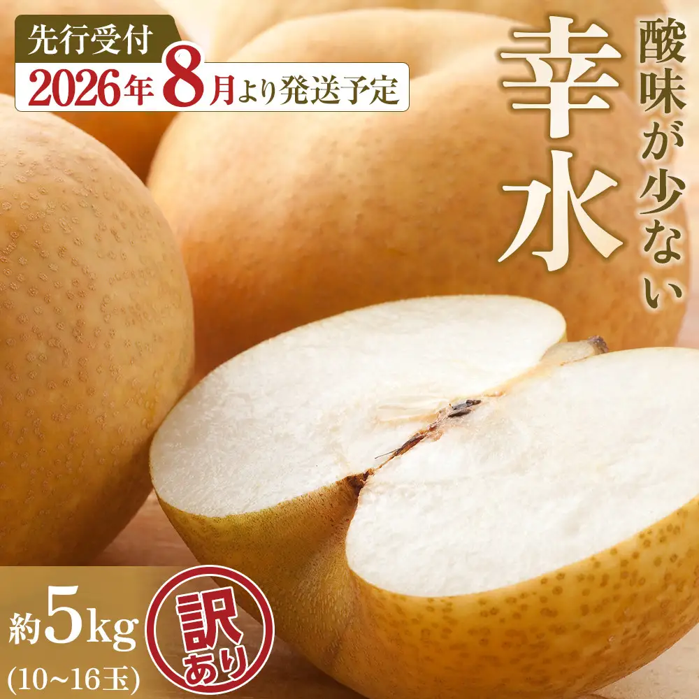 【訳あり】【馬場果樹園】梨「幸水」約5kg（10～16玉入）8月中旬～ ｜ 梨 
