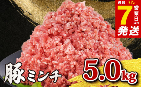 豚ひき肉 小分け 計5kg 【 豚ひき肉 】千葉県産