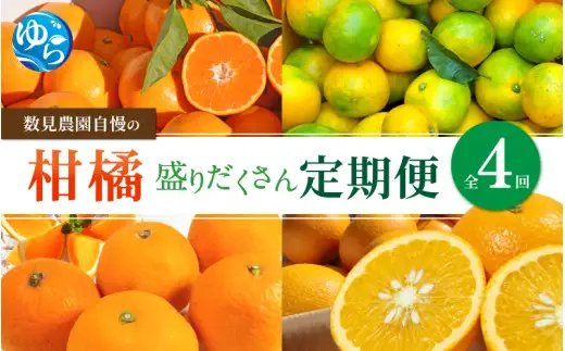 【定期便全4回】数見農園自慢の柑橘盛りだくさん定期便　/ 果物 柑橘 由良町 産地直送 和歌山 詰め合わせ 柑橘 数量限定 ゆら早生  温州みかん 清見 きよみ 清見オレンジ さつき八朔【kzmn-tkb001】