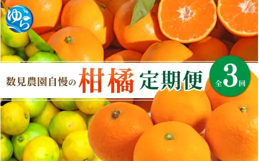 【定期便全3回】数見農園自慢の 柑橘定期便 /  果物 柑橘 由良町 フルーツ くだもの 産地直送 和歌山 数量限定 ミカン ゆら早生 温州みかん きよみ 清見オレンジ【kzmn-tkb002】