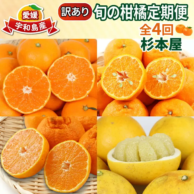 訳あり 旬 の 柑橘定期便 全4回 杉本屋 先行予約 わけあり みかん定期便 完熟みかん 柑橘 みかん ポンカン 不知火 完熟 温州みかん 土佐文旦 文旦 ていきびん mikan 愛媛みかん愛媛ミカン 愛媛蜜柑 早生温州 温州 甘い 果物 フルーツ 柑橘 蜜柑 産地直送 数量限定 国産 愛媛 宇和島 B040-143024