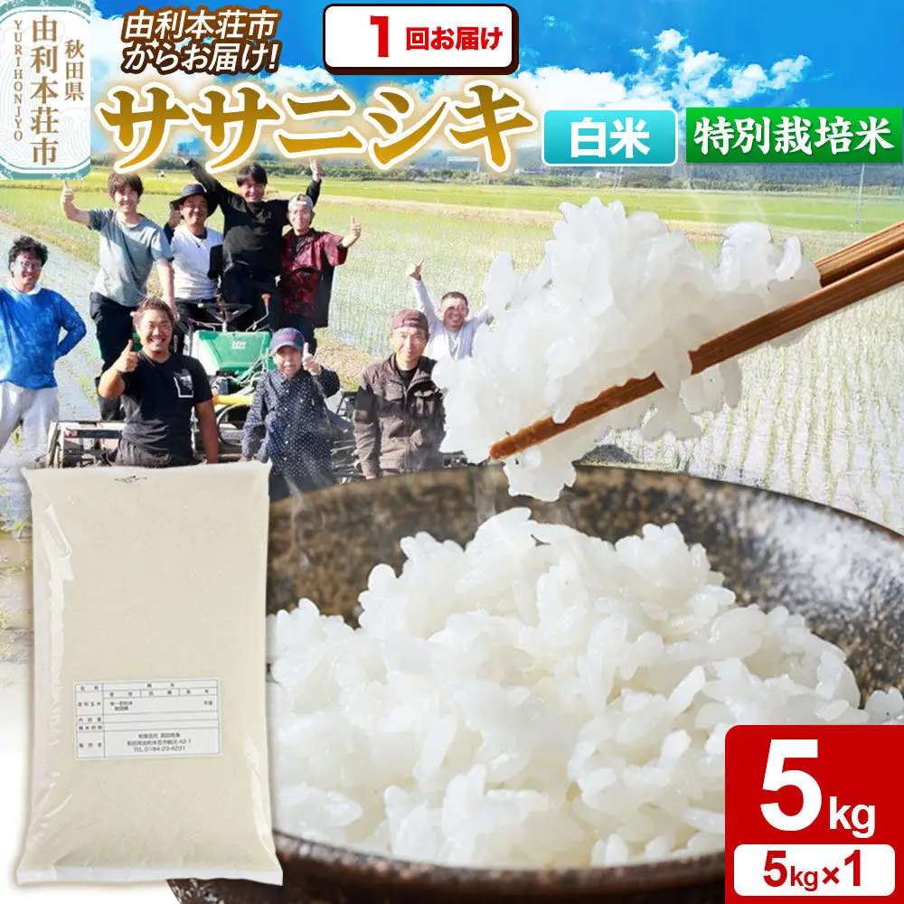【白米】特別栽培米 ササニシキ 5kg（5kg×1袋）令和7年産