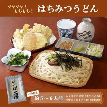 はちみつうどん500g×2袋 約5～6人前(半生うどん)【配送不可地域：離島・沖縄県】【1125040】