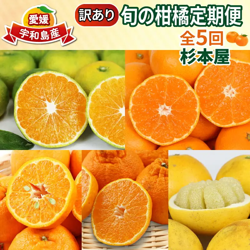 【訳あり 柑橘定期便】 全5回 杉本屋 柑橘定期便 B050-143025