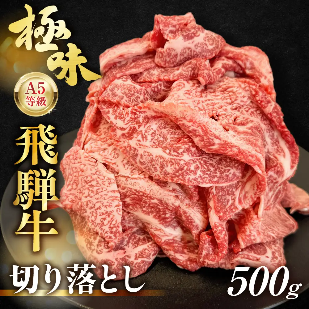 飛騨牛 A5等級 切り落とし 500g | 飛騨牛 ながせ食品 FH025VC13