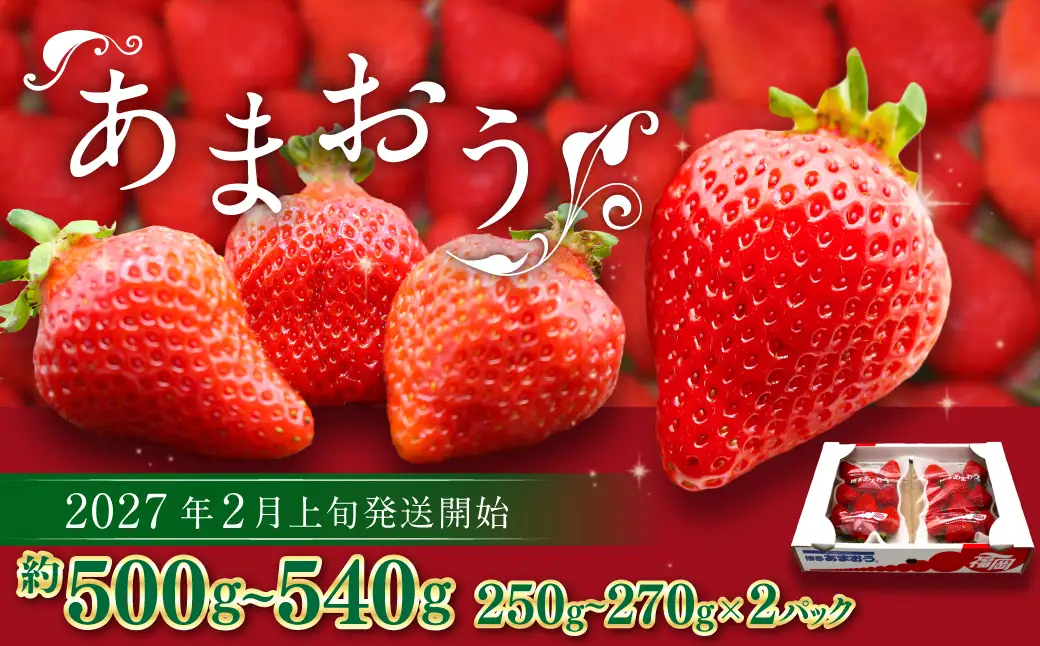 博多あまおう（春） 約250g～270g×2パック 計約500g～540g【2027年2月上旬-4月下旬発送予定】 いちご 苺 イチゴ 果物 フルーツ