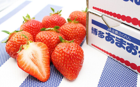 【3回定期便（2・3・4月発送）】博多あまおう 250g～270g × 2パック 【2027年2月上旬-4月下旬発送予定】 あまおう 果物 フルーツ 果実 苺 いちご イチゴ ストロベリー 完熟 新鮮 