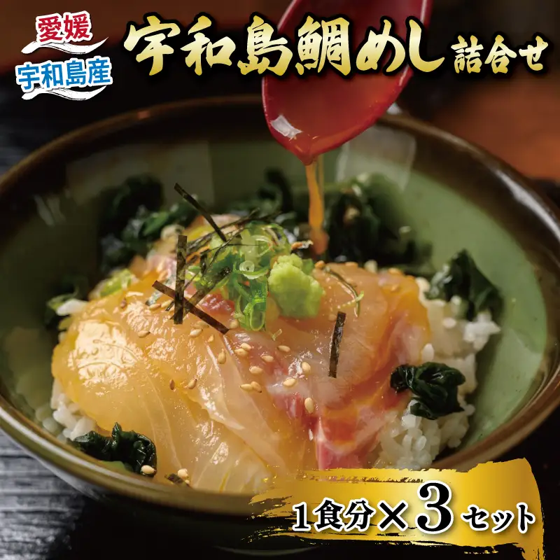 海鮮丼 鯛めし 3食 辻水産 海鮮丼 D010-062006