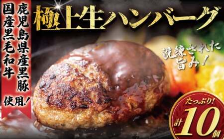 国産黒毛和牛×黒豚 ハンバーグ 10個  |  国産 ひき肉