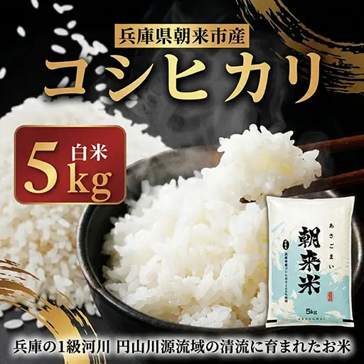 米 白米 R8年産コシヒカリ 5kg