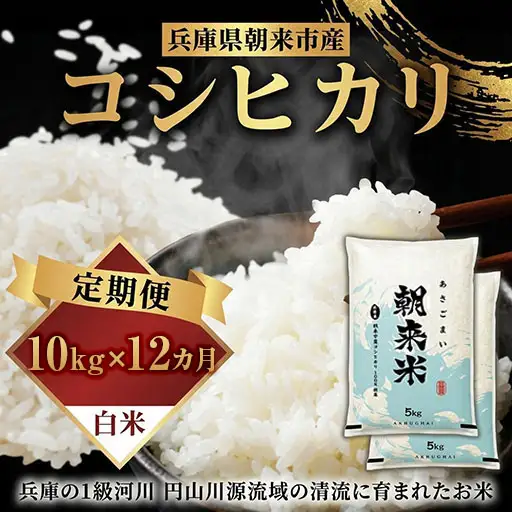 米【定期便12回】コシヒカリ10kg (5kg2袋) R8年産 白米