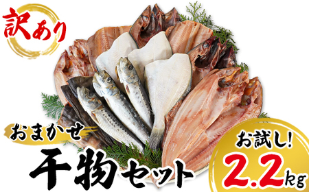 【2026年9月下旬発送】訳あり 干物 詰め合わせセット 2.2kg 真ホッケ 縞ホッケ サバ イワシ 北海道