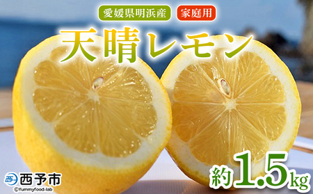 【先行予約】＜天晴レモン ご家庭用 約1.5kg＞ フルーツ 果物 くだもの レモン れもん 檸檬 柑橘 訳あり わけあり ワケアリ 自宅用 料理 国産 国産レモン 愛媛県産 特産品 株式会社笑丸 愛媛県 西予市【常温】『2026年9月から順次出荷予定』AAN0042