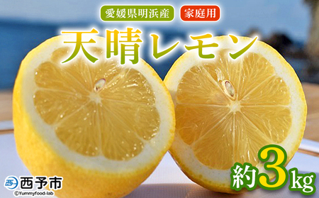 【先行予約】＜天晴レモン ご家庭用 約3kg＞ フルーツ 果物 くだもの レモン れもん 檸檬 柑橘 訳あり わけあり ワケアリ 自宅用 料理 国産 国産レモン 愛媛県産 特産品 株式会社笑丸 愛媛県 西予市【常温】『2026年9月から順次出荷予定』AAN0044