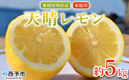 【先行予約】＜天晴レモン ご家庭用 約5kg＞ フルーツ 果物 くだもの レモン れもん 檸檬 柑橘 訳あり わけあり ワケアリ 自宅用 料理 国産 国産レモン 愛媛県産 特産品 株式会社笑丸 愛媛県 西予市【常温】『2026年9月から順次出荷予定』AAN0045