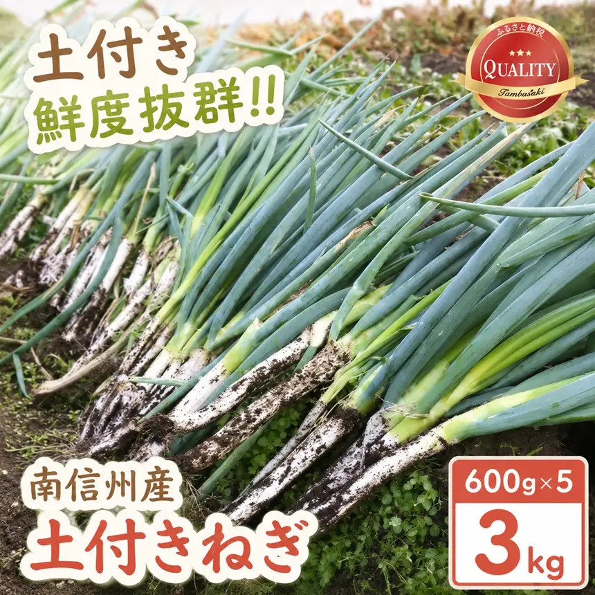 【南信州産】 土付きねぎ 3kg (600g×5袋) 【2026年11月下旬～順次発送】 ＪＡみなみ信州ＤＭセンター飯田市
