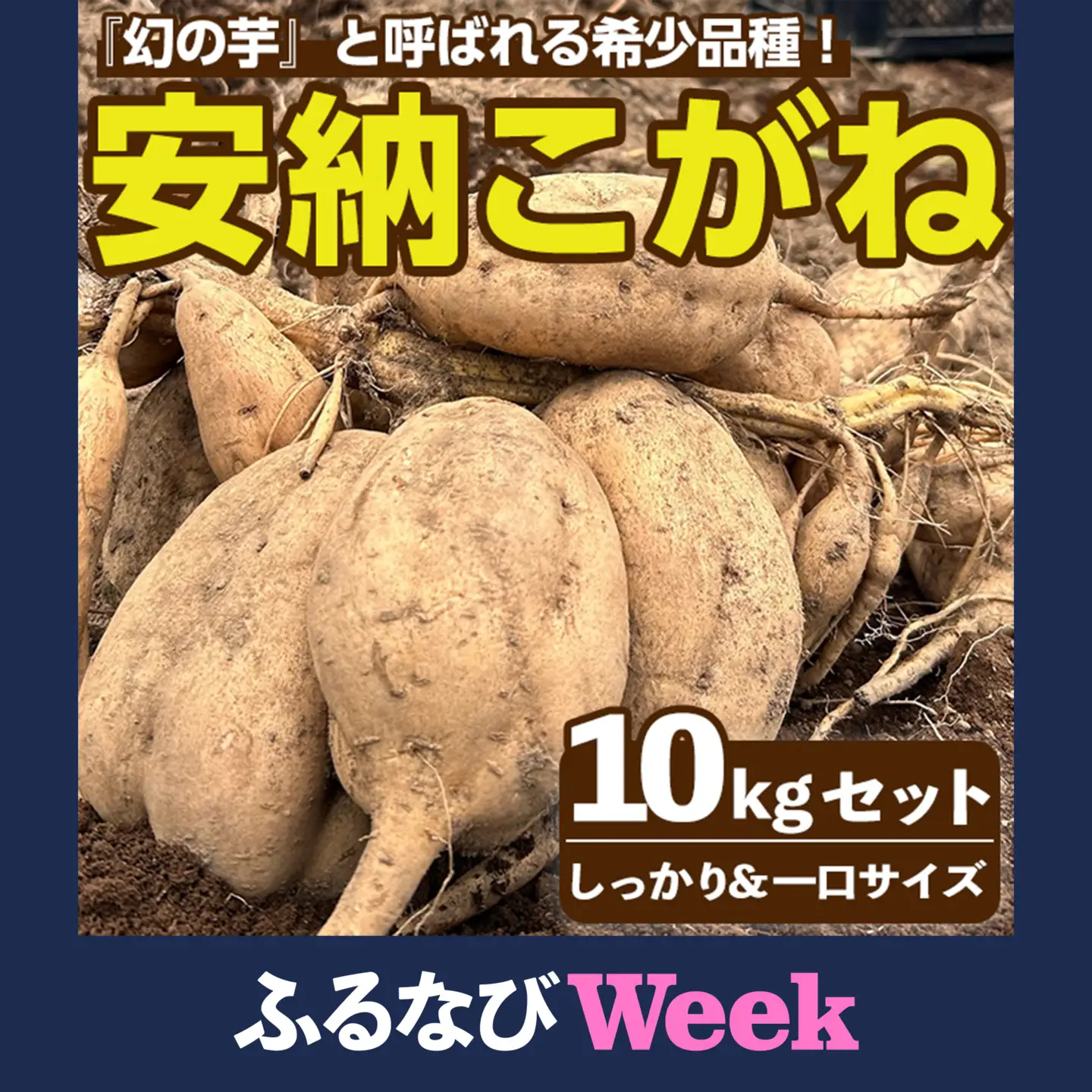 【ふるなびWEEK対象】安納芋 10kg 黄金 種子島 さつまいも セット 【なかたね農産】n332-H