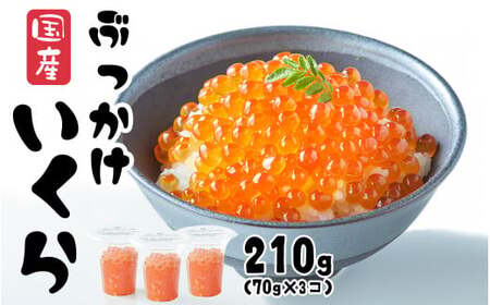 ＼TVで紹介されました／ いくら醤油漬け 210g (70g×3パック) 国産 鮭卵 冷凍 最上級グレード 3特 【 お試し ikura 鮭 鮭卵 醤油 海鮮 魚卵 人気 醤油漬け 】 RT1963