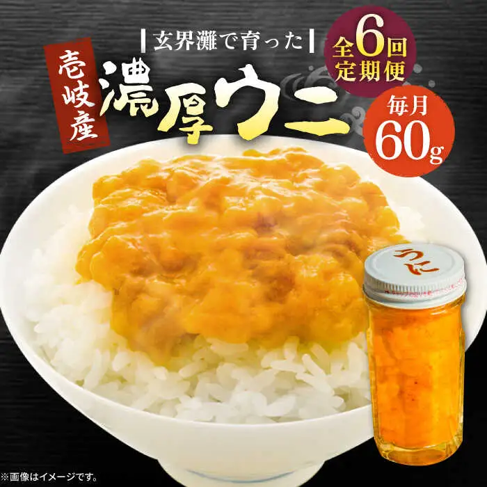 【全6回定期便】壱岐産 濃厚 ウニ60g《壱岐市》【合同会社塚元】ムラサキウニ [JDR031]