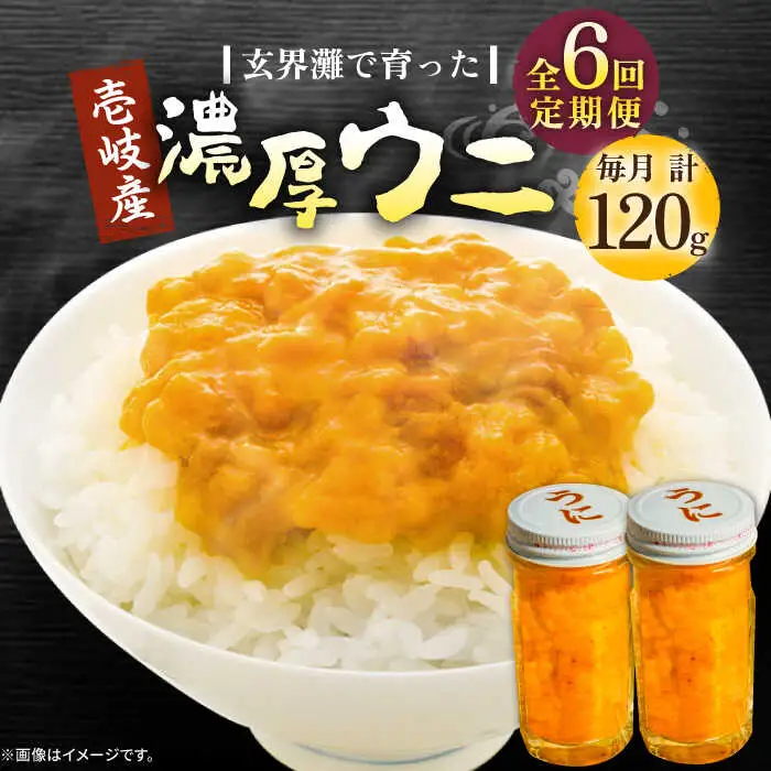 【全6回定期便】壱岐産 濃厚 ウニ 60g ×2本《壱岐市》【合同会社塚元】ムラサキウニ [JDR035]