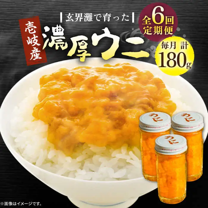 【全6回定期便】壱岐産 濃厚 ウニ 60g ×3本《壱岐市》【合同会社塚元】ムラサキウニ [JDR039]