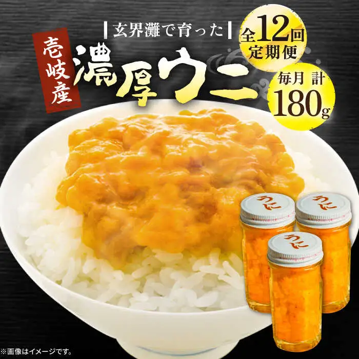 【全12回定期便】壱岐産 濃厚 ウニ 60g ×3本《壱岐市》【合同会社塚元】ムラサキウニ [JDR040]