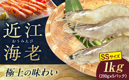 近江海老 1kg(SSサイズ)[AQBA007]えび 近江海老 エビ