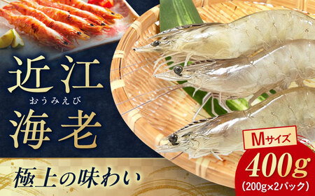 近江海老 400g(Mサイズ)[AQBA012]えび 近江海老 エビ