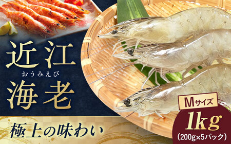 近江海老 1kg(Mサイズ)[AQBA015]えび 近江海老 エビ