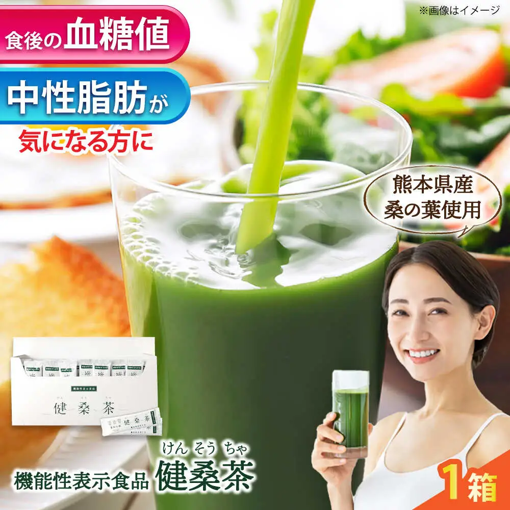 機能性表示食品 健桑茶 1箱 お茶[AYBM004]