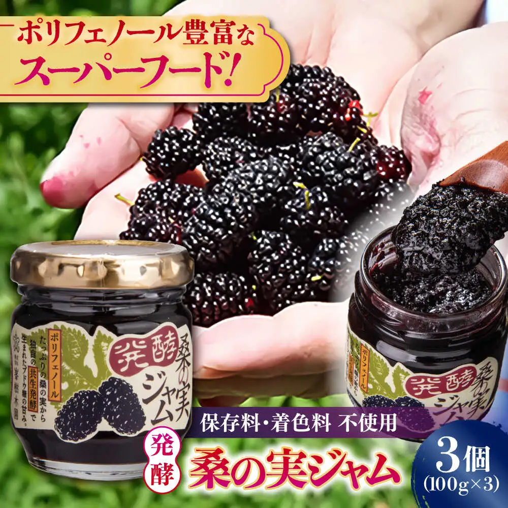 発酵桑の実 ジャム 3個セット（100g×3）ジャム[AYBM012]