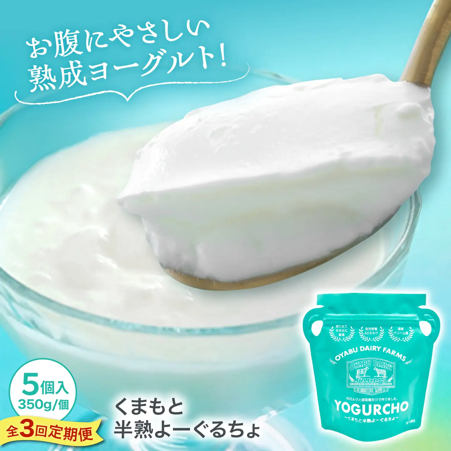 【全3回定期便】オオヤブデイリーファーム くまもと半熟よーぐるちょ 350g×5個ヨーグルト[AYAE005]